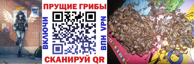 закладка  блэк спрут ссылка  Галлюциногенные грибы мухоморы  Нязепетровск 